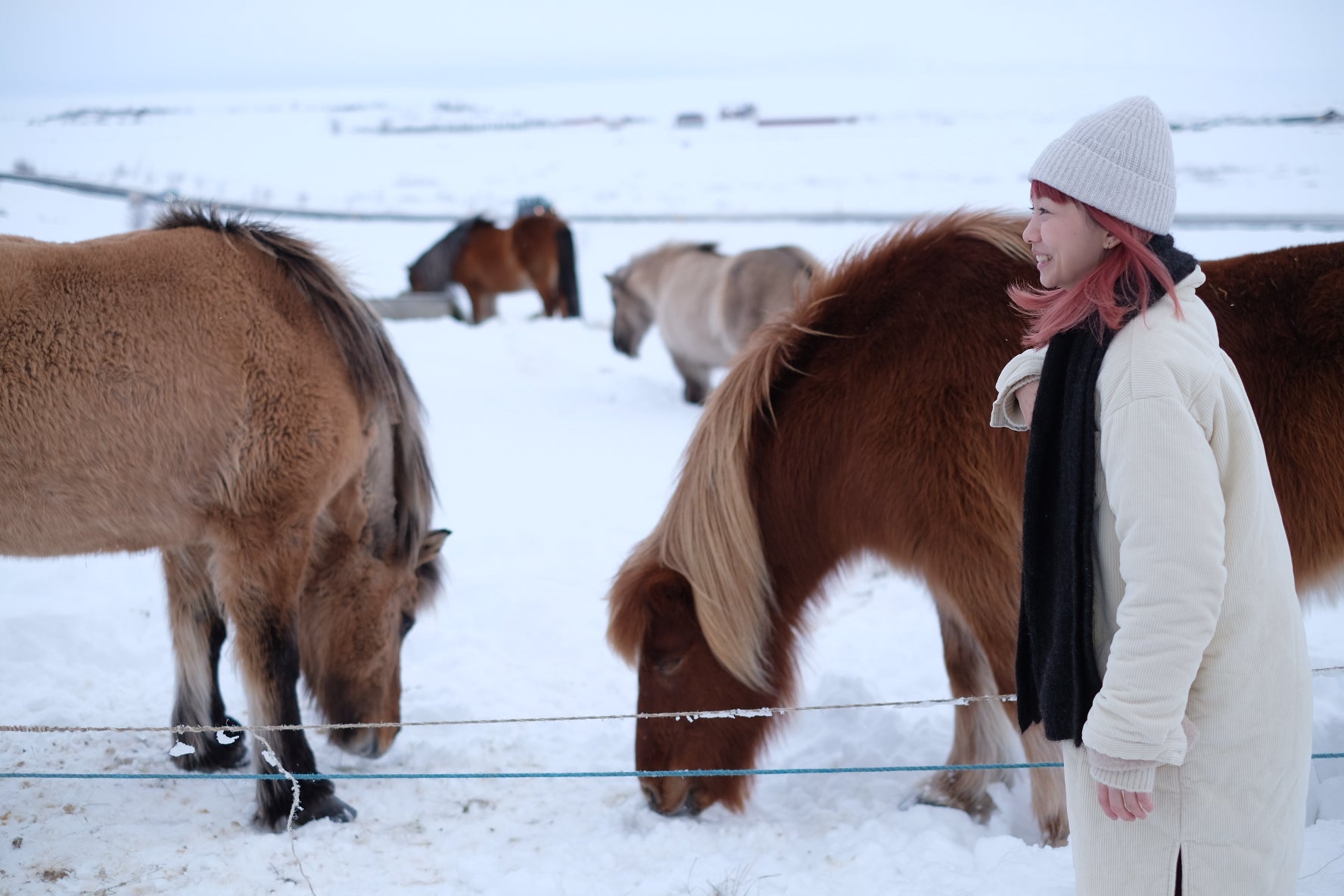 We love Iceland | we share our lovely life for free