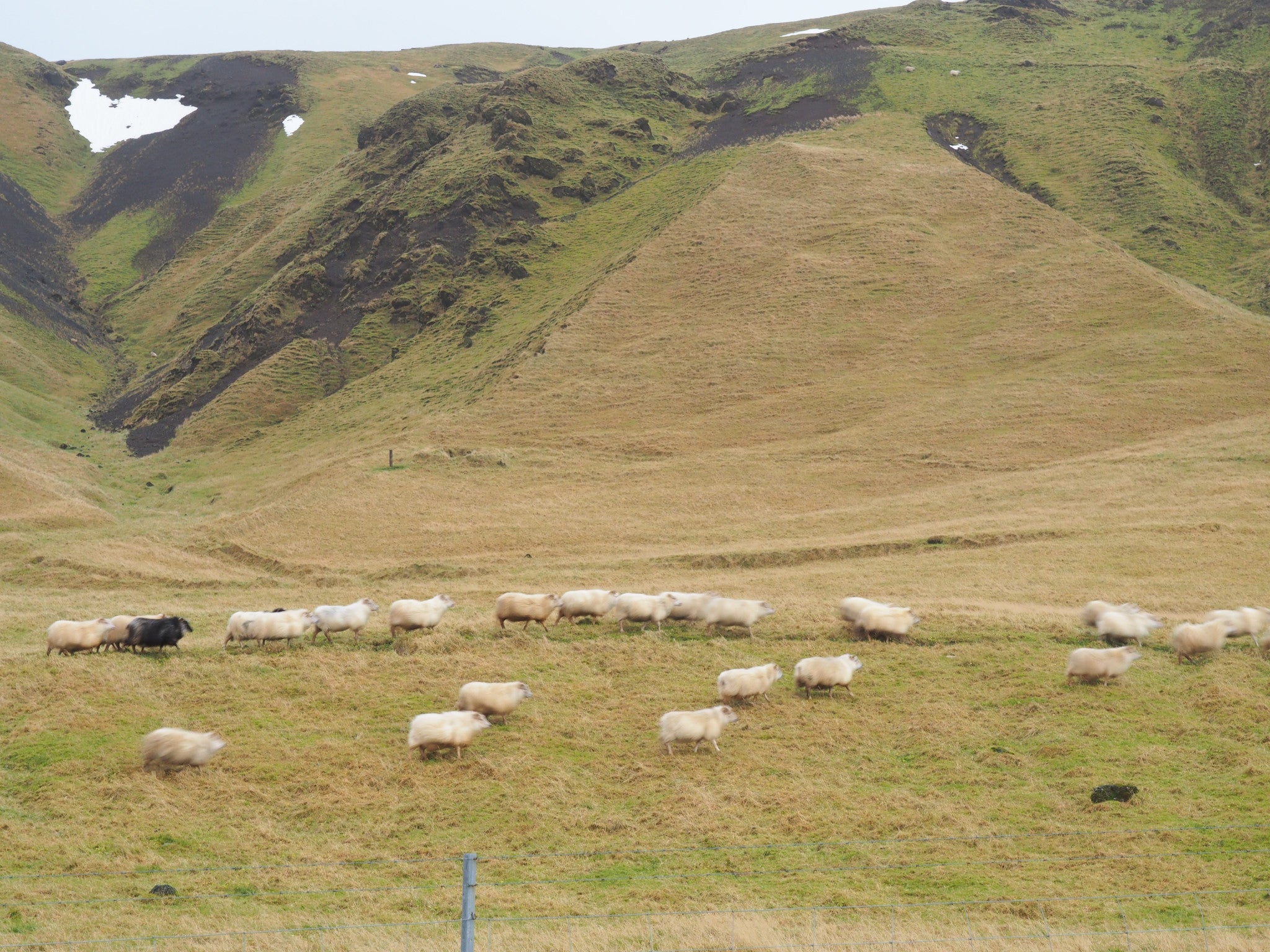 We love Iceland | we share our lovely life for free