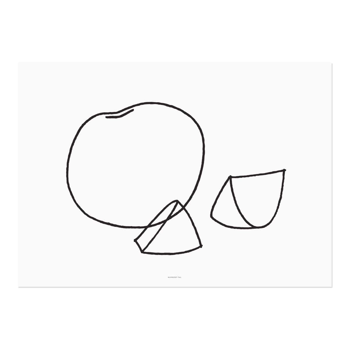 FRUIT - LINE  DRAWING